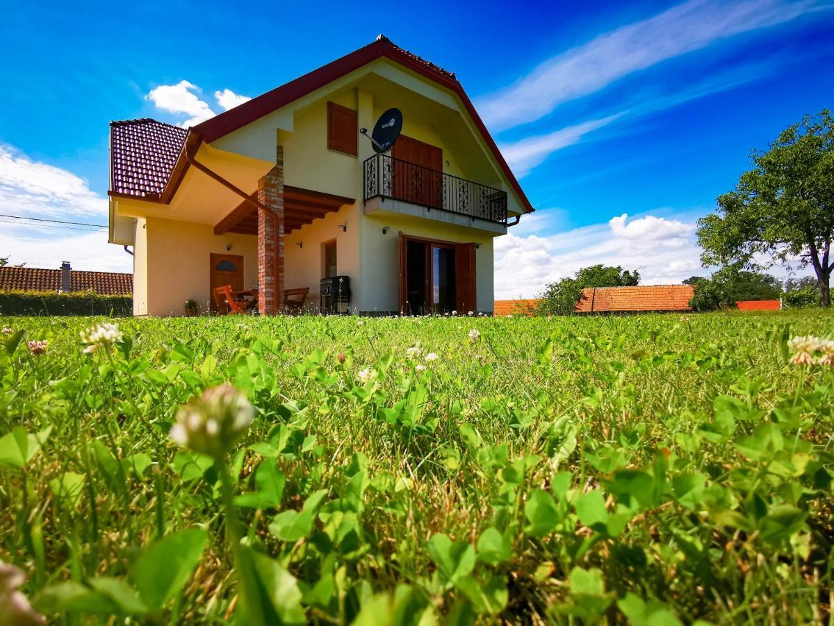 Villa Lindika Lendava Exterior foto